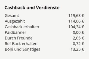 Questler Erfahrungen und Einnahmen